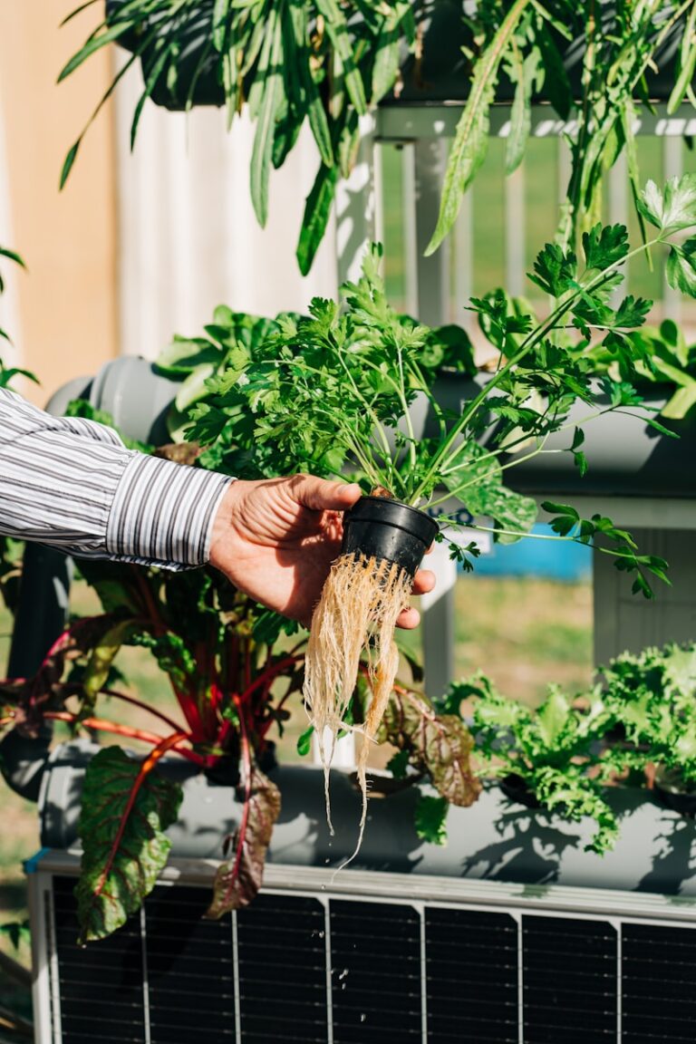 De Groene Revolutie: Ontdek de Voordelen van Hydrocultuur